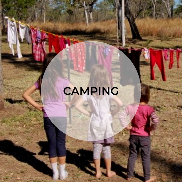 Pink Galah